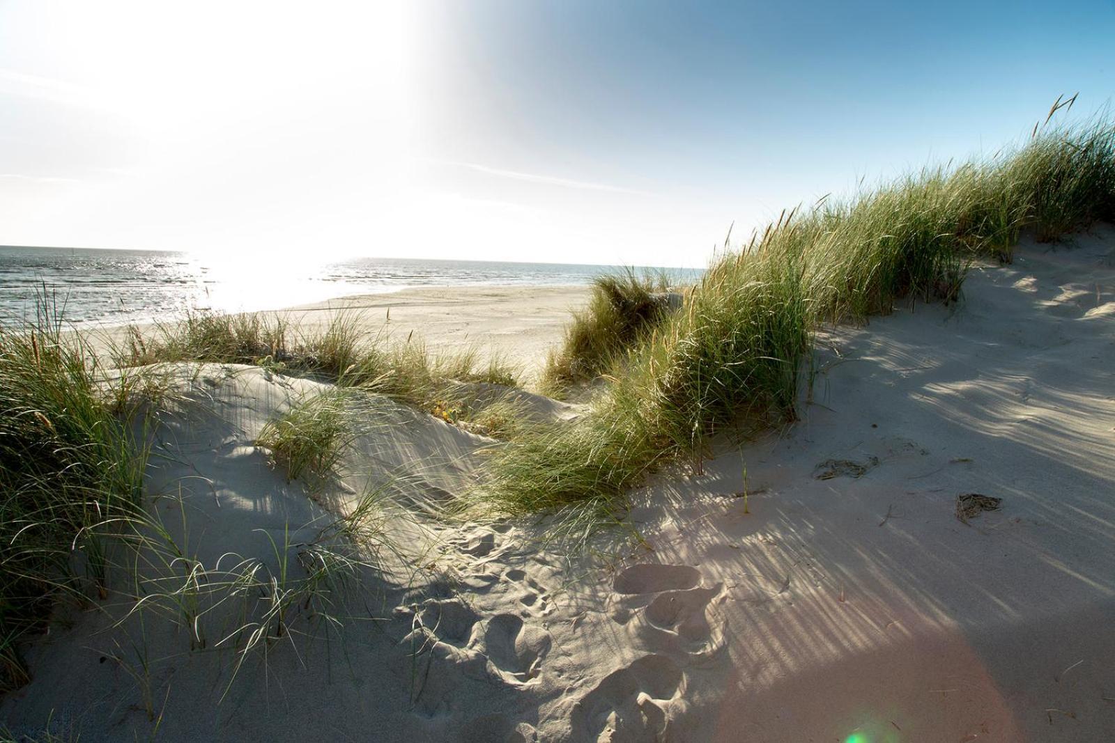 Barmouth Bay Holiday Park Llanddwywe 외부 사진